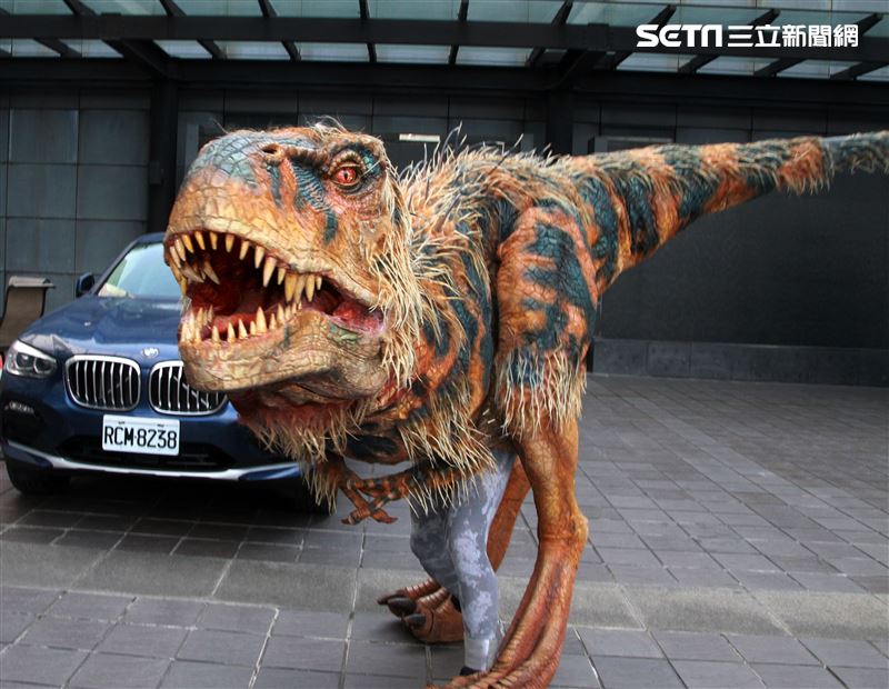 「與恐龍共舞」不得了爆龍闖進辦公室。（記者邱榮吉/攝影）