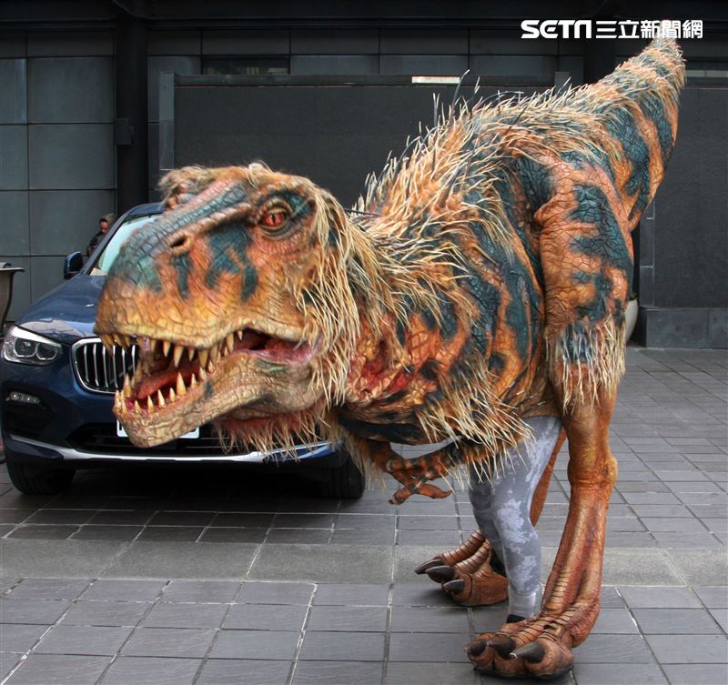 「與恐龍共舞」不得了爆龍闖進辦公室。（記者邱榮吉/攝影）