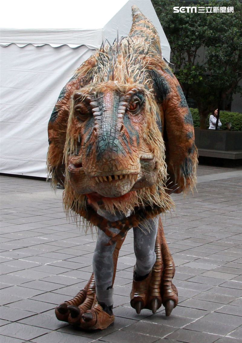 「與恐龍共舞」不得了爆龍闖進辦公室。（記者邱榮吉/攝影）