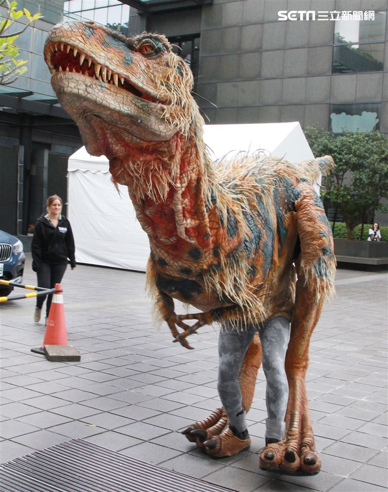 「與恐龍共舞」不得了爆龍闖進辦公室。（記者邱榮吉/攝影）