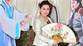 陳亞蘭。（台視提供）