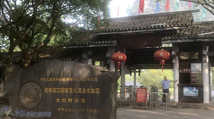 廣西邊境　桂林陽朔月亮山、大榕樹