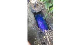 高雄市,後勁溪,印刷廢水汙染,開罰,3000萬(圖/高市環保局提供)中央社