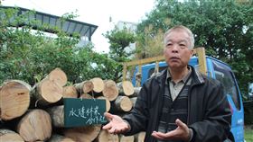 花蓮,林管處,林下經濟,轉行,香菇段木(圖/中央社)