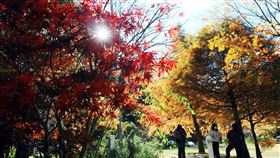 交通部長林佳龍5日宣布，行政院已經拍板國旅秋冬補助延至109年1月底，夜市抵用券的使用期限也同步展延。