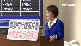 國安局否認主責難民法　黃昭順糗質詢