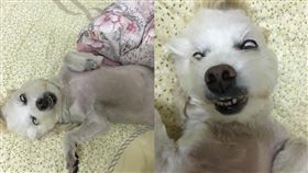 早起,翻白眼,被窩,氣溫(翻攝自爆怨公社)