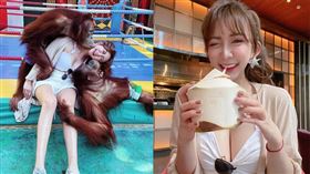 溫蒂遭猩猩襲胸大笑，事後居然說「有戀愛的感覺」。（圖／溫蒂提供）