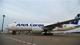 ANA（圖／翻攝自ANA.全球臉書）
https://www.facebook.com/pg/ana.ch.traditional/photos/?ref=page_internal