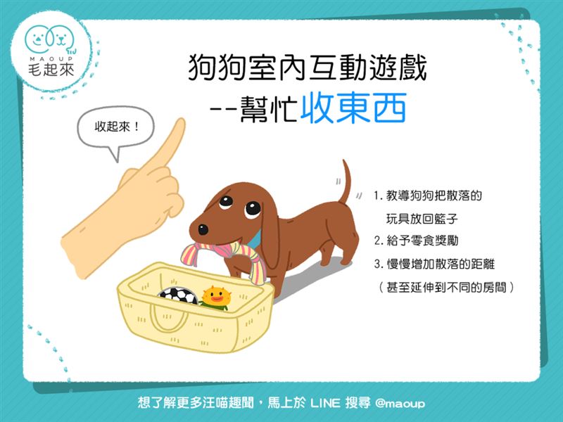 在家玩什麼？快來教狗狗幫忙收東西吧