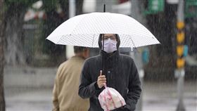 中央氣象局,東北季風,南方雲系,降雨,溫度再降(圖/中央社)