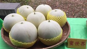 屏東東港鎮,3寶,推廣,香瓜,哈密瓜(圖/農糧署提供)中央社