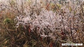 霧淞（民眾江先生提供）