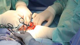 器官,南韓,墨西哥,遺體,驗屍,衝突,KTV,淤青,解剖,手素　圖翻攝自Pxhere https://goo.gl/K9mQFM