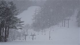 日關東地區下雪　草津溫泉滑雪場一片銀白日本東部10日有寒流侵襲，以關東地區為主，突然變成像嚴冬一樣的氣候，草津溫泉滑雪場呈現銀白世界。中央社記者楊明珠草津攝　108年4月11日