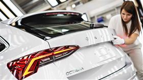 ▲Skoda Octavia（圖／翻攝網路）