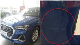 帶3歲女兒看車！她拿石頭「刮花十輛奧迪」　父母賠到脫褲