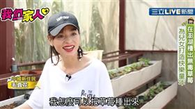 (重慶姑娘澎湖種出無毒草莓！毛真花為兒女打造快樂童年)
澎湖,草莓,重慶姑娘,毛真花,農場

