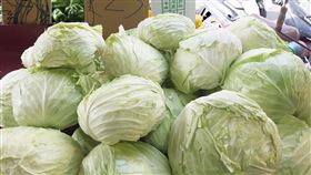 高麗菜,超種,紫爆,農糧署,減量走勢(圖/中央社)