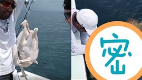 翻攝King DJ臉書 拿全雞海釣石斑