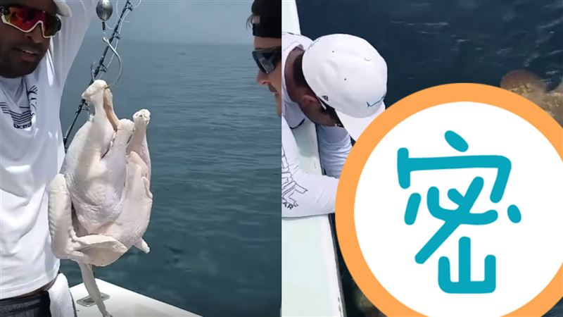 拿全雞釣魚！兩壯漢全力拉起巨大海鮮