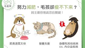 名家專用／毛起來MAOUP（勿用）