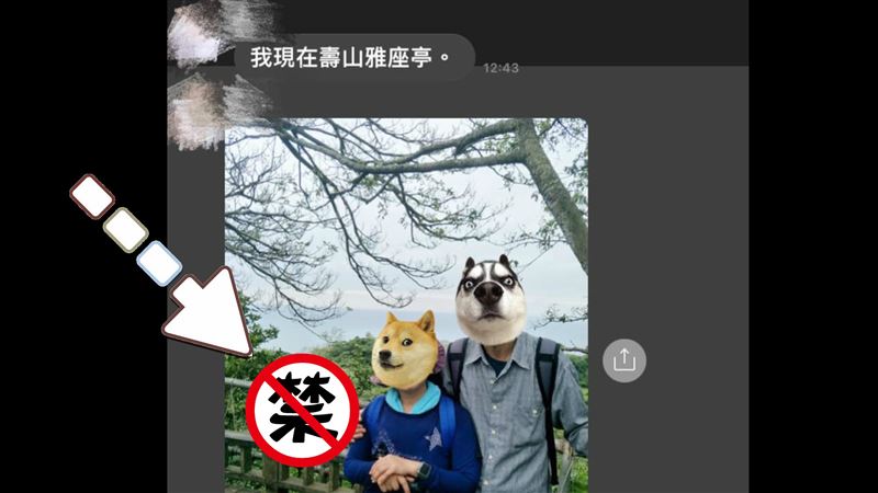 爸媽爬山群組曬恩愛　後面亮點超搶戲