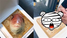 壽星,特製蛋糕,魚頭,逼真,驚喜,爆廢公社