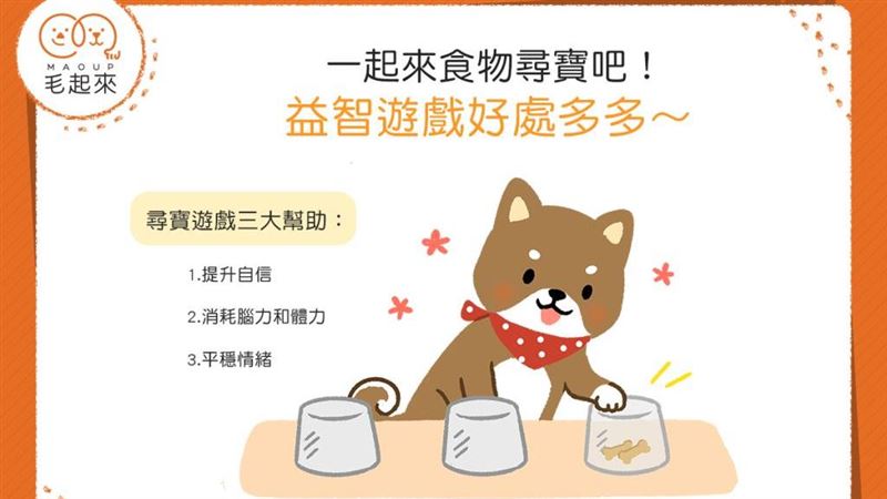 和狗狗來場食物尋寶！益智遊戲好處多