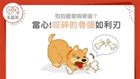 名家專用／毛起來MAOUP（勿用）
