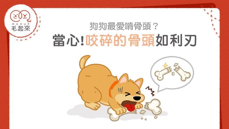 狗狗最愛啃骨頭？咬碎的骨頭如利刃