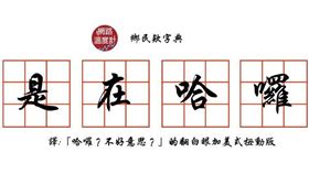 名家專用／網路溫度計（勿用）