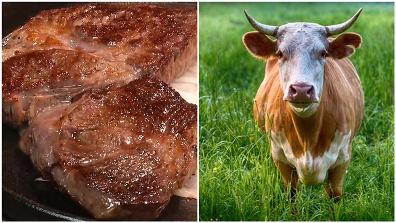 「倒楣」立刻轉運法　專家曝忌吃牛肉