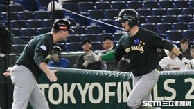 12強澳洲隊。（資料圖／記者王怡翔攝影）