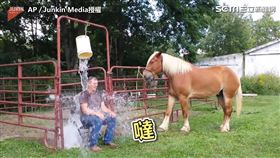 咖啡色小馬與主人一起完成冰桶挑戰。（圖／AP／Junkin Media授權）