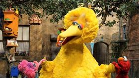 美國兒童電視節目「芝麻街」以扮演布偶角色「大鳥」（中）聞名的退休操偶師史賓尼8日去世，享壽85歲。（圖取自twitter.com/sesamestreet）