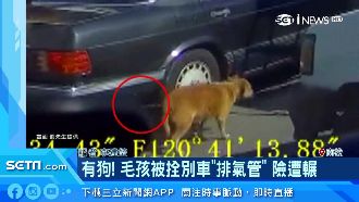 毛孩被綁排氣管　車一開被拖走險遭輾