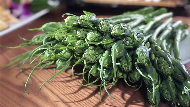 菜市場限定極品！1公斤飆2千元天價