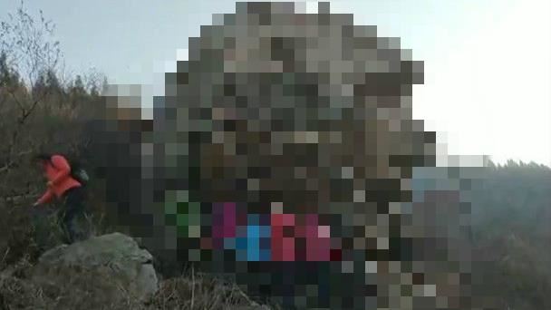 這也能山寨？山東驚現「獅身人面像」