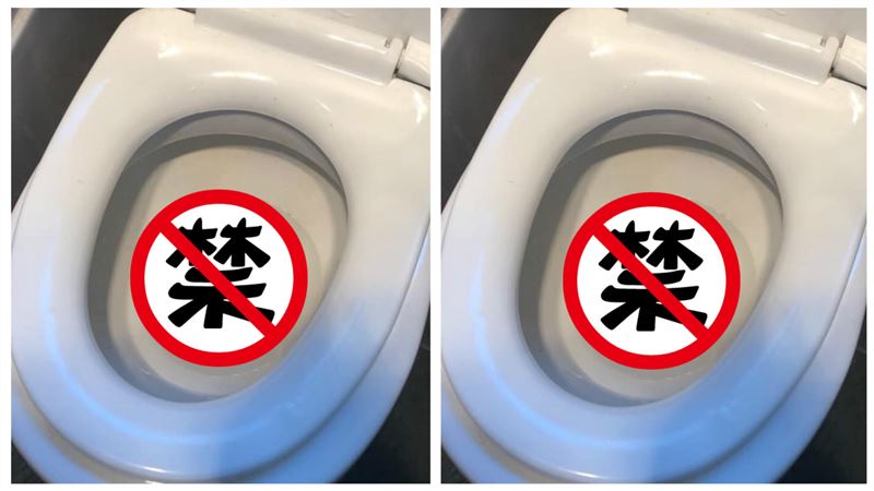 嚇！尿完沖馬桶驚見…網笑：尿裡鼠亡