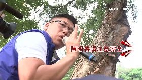 藍犯傻再衝18001