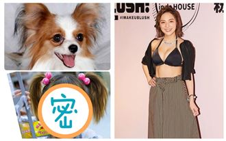 熊熊爆巨乳不夠！雙馬尾撞臉狗網笑炸