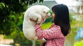 名家/愛你寵物網（勿用）