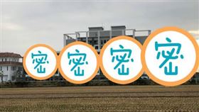 雲林連棟別墅,9