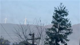 名家／草根（勿用）