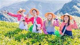 阿里山賞楓季節登場（圖／阿里山國家風景區管理處提供）