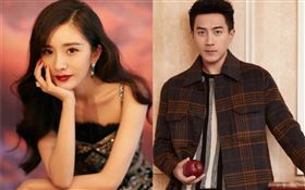 楊冪/劉愷威/微博