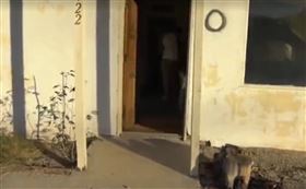  俄羅斯,邵伊那,沙塵暴,不關門,小鎮