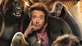 《杜立德》（圖／UIP提供）