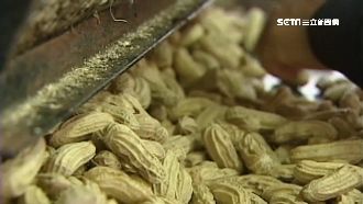 收購花生有壓力？元長鄉農會喊沒錢